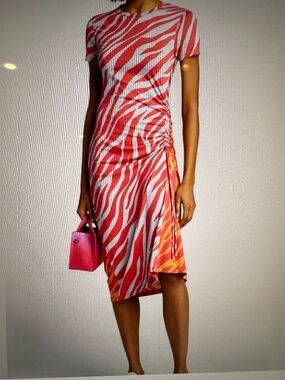 Rag & Bone Ina Tiger-Stripe Midi Dress. SZ Med. NWOT